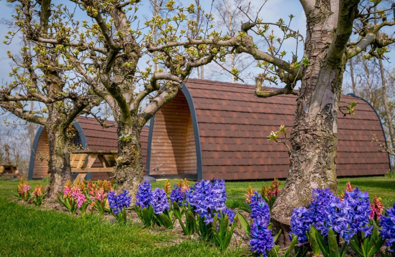 Familie Resort Molenwaard Ottoland Exterior photo
